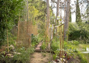 Rustico Via della Madonna del Sodo, 13, Umbertide - foto 34