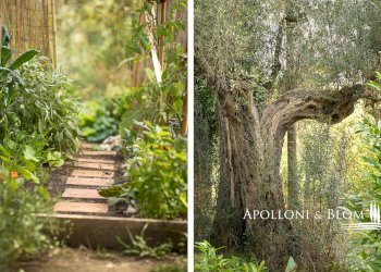 Rustico Via della Madonna del Sodo, 13, Umbertide - foto 35