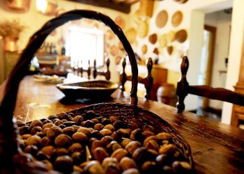 Villa Unifamiliare Voc. Perumpetto, Monteleone d'Orvieto - foto 12