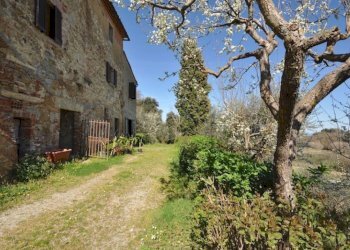 Rustico delle terme, 45, Montepulciano - foto 13