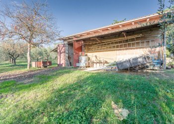 Rustic Montepulciano - photo 17
