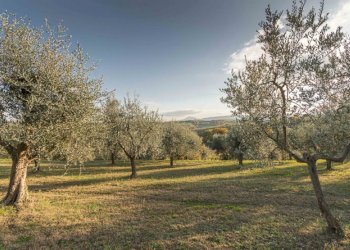Rustic Montepulciano - photo 22