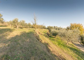 Rustic Montepulciano - photo 24