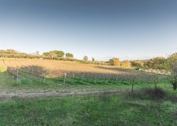 Rustic Montepulciano - photo 25