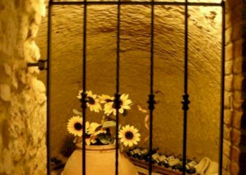 Shop Montepulciano - photo 5