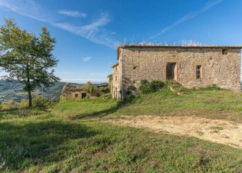 Rustico Umbertide - foto 6