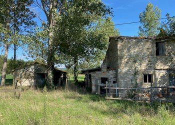 Rustico Massa Martana - foto 2