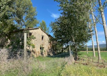 Rustico Massa Martana - foto 5