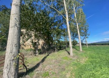 Rustico Massa Martana - foto 7