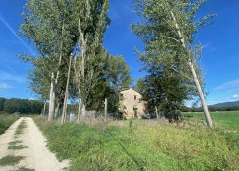 Rustico Massa Martana - foto 10