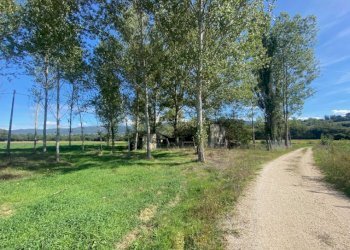 Rustico Massa Martana - foto 12