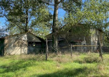 Rustico Massa Martana - foto 14