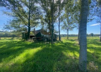 Rustico Massa Martana - foto 15