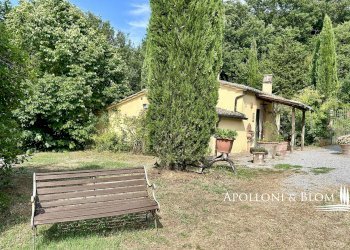 Rustico Sarteano - foto 3