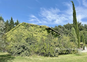 Rustico Sarteano - foto 21