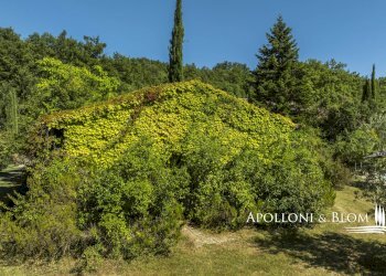 Rustico Sferracavalli, 4, Sarteano - foto 41