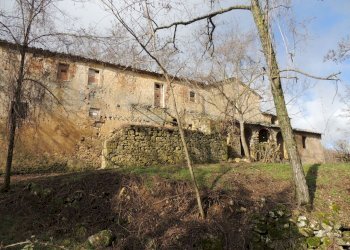 Rustico Sarteano - foto 2