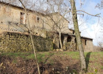 Rustico Sarteano - foto 3