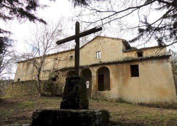 Rustico Sarteano - foto 4