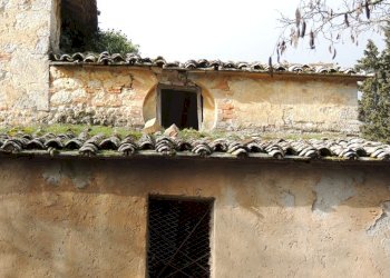 Rustico Sarteano - foto 5