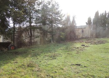 Rustico Sarteano - foto 7