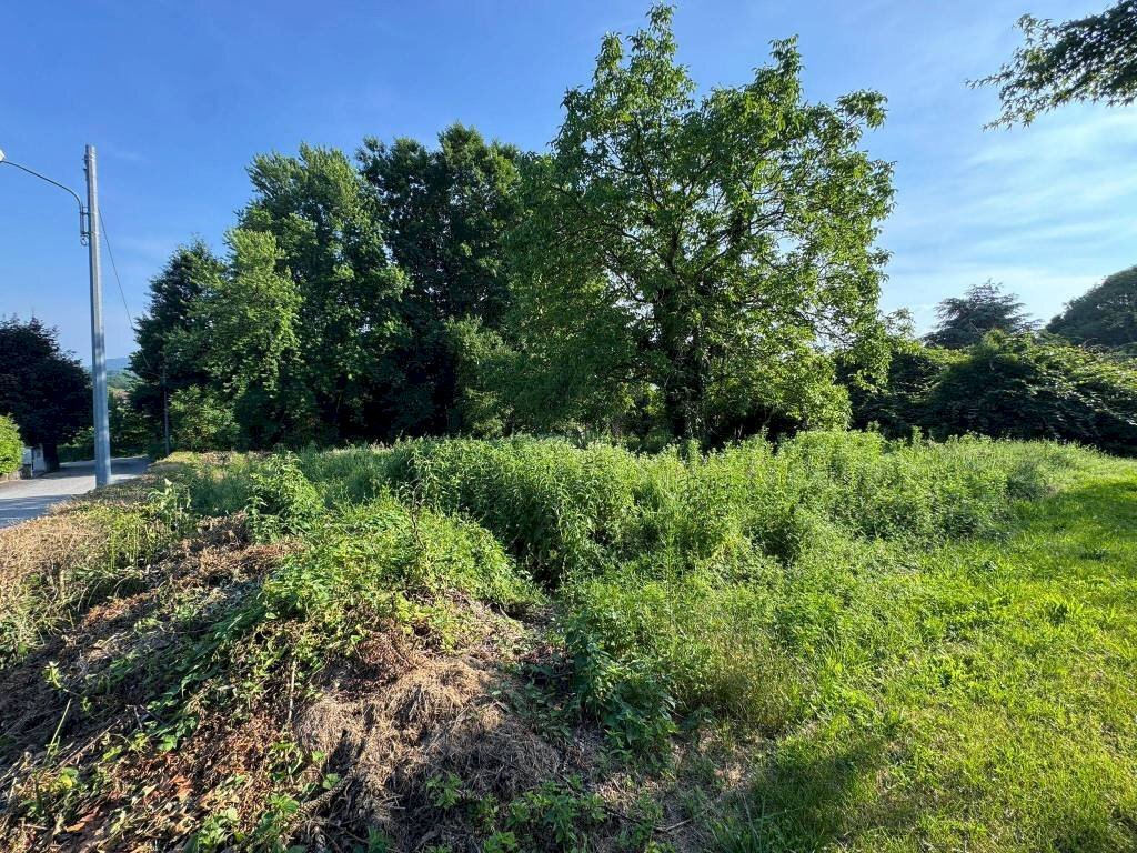 Terreno - Terreno edificabile via Vignetta, 17, Brebbia - foto 3