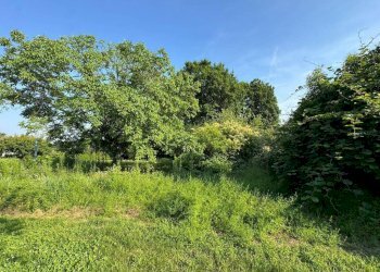 Terreno - Terreno edificabile via Vignetta, 17, Brebbia - foto 7