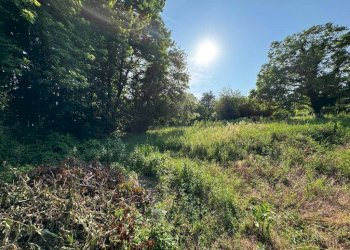 Terreno - Terreno edificabile via Vignetta, 17, Brebbia - foto 14