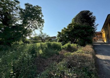 Terreno - Terreno edificabile via Vignetta, 17, Brebbia - foto 17