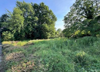 Terreno - Terreno edificabile via Vignetta, 17, Brebbia - foto 18