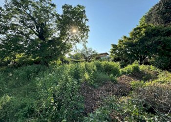 Terreno - Terreno edificabile via Vignetta, 17, Brebbia - foto 19