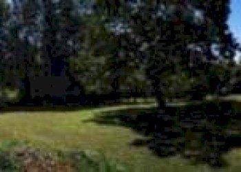 Terreno - Terreno edificabile via Vignetta, 17, Brebbia - foto 22