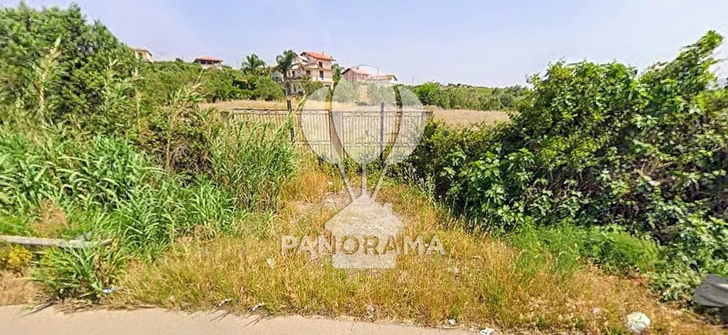 Terreno agricolo SS, Partinico - foto 1