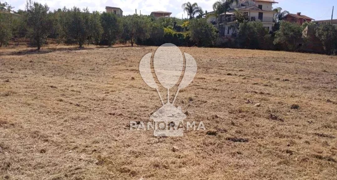 Terreno agricolo SS, Partinico - foto 3