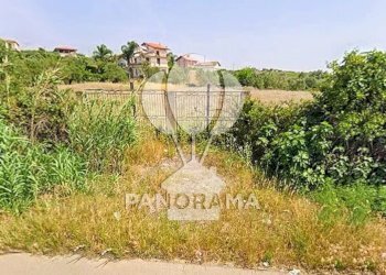 Terreno agricolo SS, Partinico - foto 1