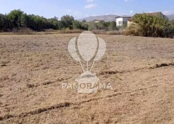 Terreno agricolo SS, Partinico - foto 2