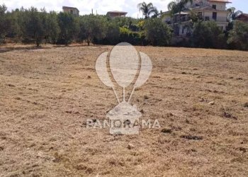 Terreno agricolo SS, Partinico - foto 3