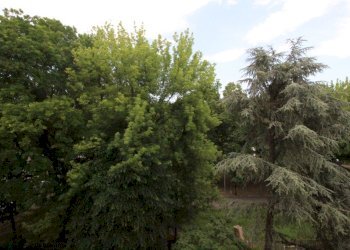 Appartamento Nonantola - foto 49