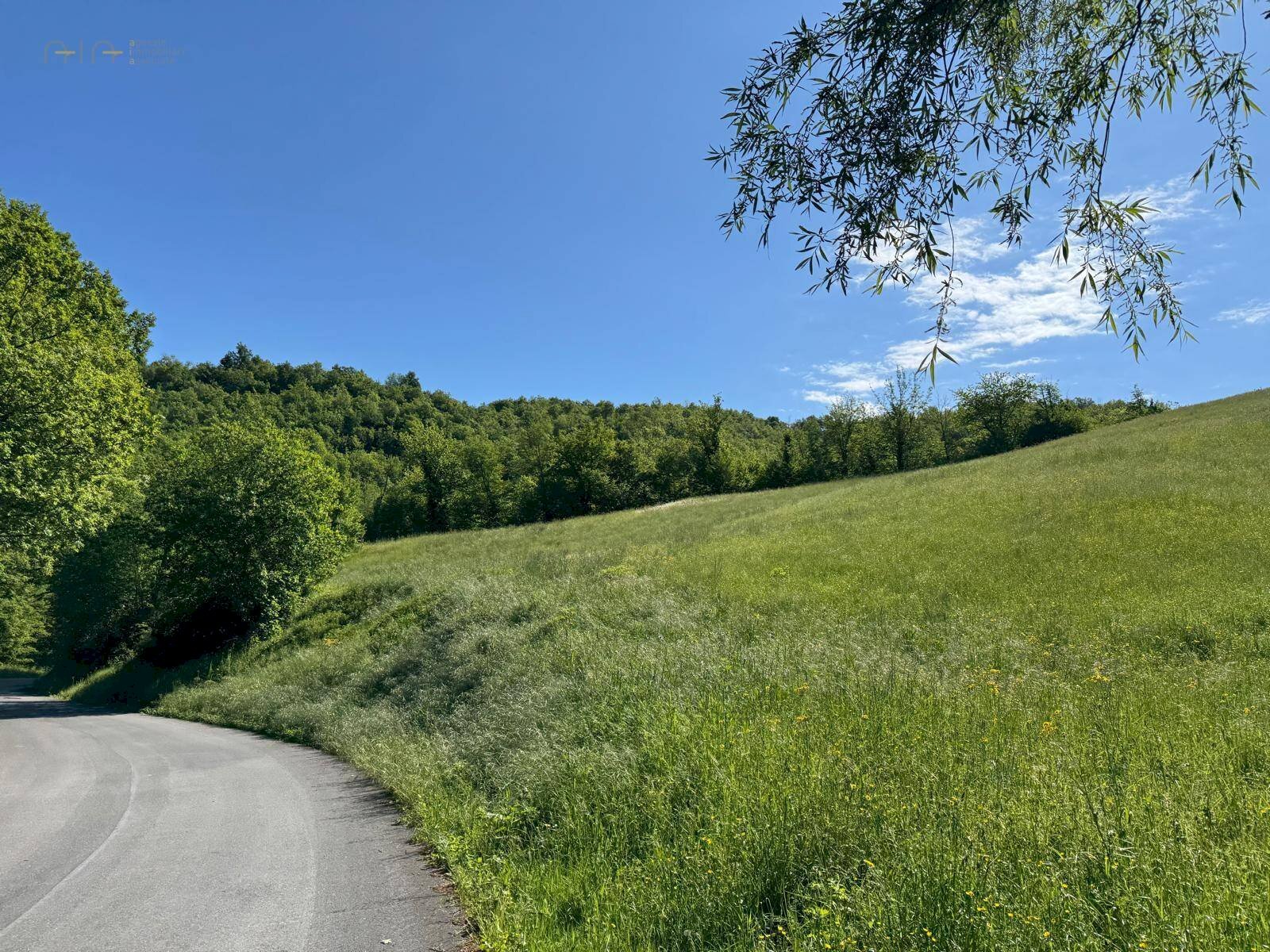 Foto 2 - Terreno agricolo Strada Prov. 83 (Cerretana), Montefortino - foto 2