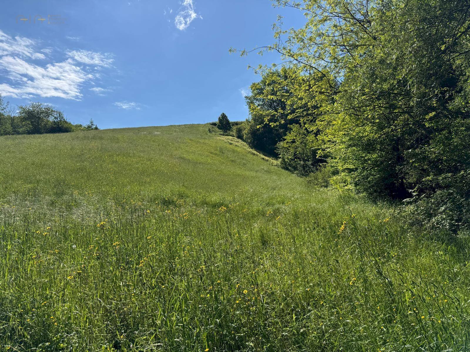 Foto 3 - Terreno agricolo Strada Prov. 83 (Cerretana), Montefortino - foto 3