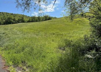 Foto 1 - Terreno agricolo Strada Prov. 83 (Cerretana), Montefortino - foto 1