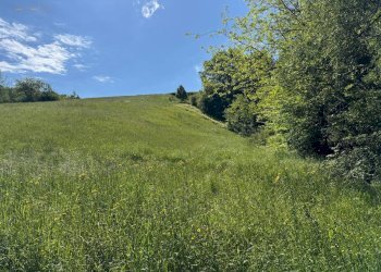 Foto 3 - Terreno agricolo Strada Prov. 83 (Cerretana), Montefortino - foto 3