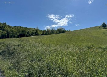 Foto 4 - Terreno agricolo Strada Prov. 83 (Cerretana), Montefortino - foto 4