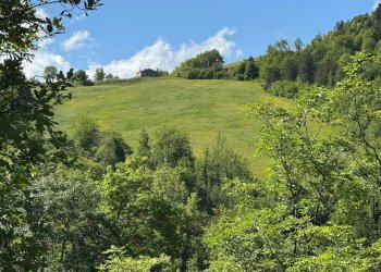 Foto 8 - Terreno agricolo Strada Prov. 83 (Cerretana), Montefortino - foto 7