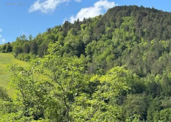 Foto 9 - Terreno agricolo Strada Prov. 83 (Cerretana), Montefortino - foto 8