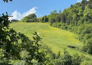 Foto 11 - Terreno agricolo Strada Prov. 83 (Cerretana), Montefortino - foto 10