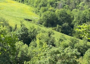 Foto 12 - Terreno agricolo Strada Prov. 83 (Cerretana), Montefortino - foto 11