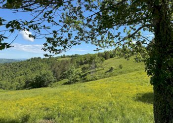 Foto 20 - Terreno agricolo Strada Prov. 83 (Cerretana), Montefortino - foto 19