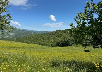 Foto 21 - Terreno agricolo Strada Prov. 83 (Cerretana), Montefortino - foto 20