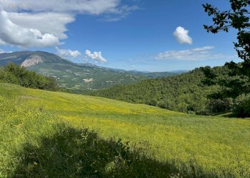 Foto 22 - Terreno agricolo Strada Prov. 83 (Cerretana), Montefortino - foto 21